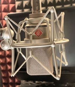 Neumann TLM 103 Voiceover Mic